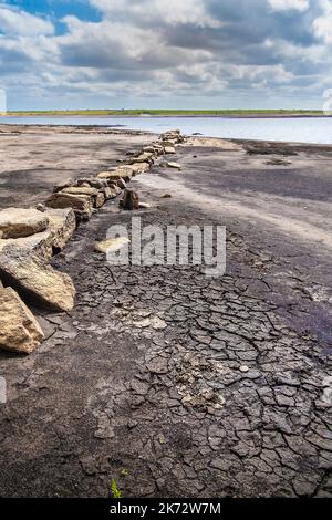 Les restes d'un vieux mur de haies cornouailles exposé par la chute des niveaux d'eau causée par de graves conditions de sécheresse au réservoir du lac Colliford, sur Bodmin Moo Banque D'Images