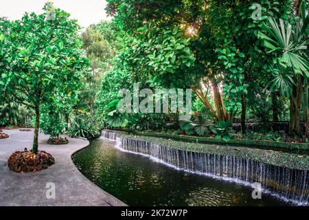 Le jardin botanique de Singapour est un jardin tropical vieux de 163 ans situé à la périphérie du quartier commerçant d'Orchard Road à Singapour. Banque D'Images