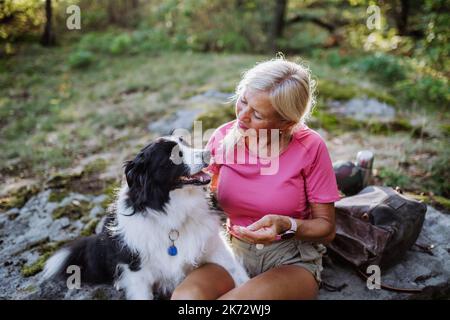 Femme âgée formant son chien pendant une promenade dans la forêt. Banque D'Images