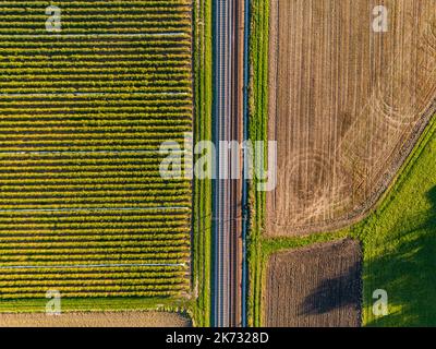 Train entre un champ de fraises et un champ directement d'en haut d'une vue d'oiseau, Allemagne Banque D'Images