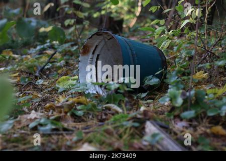 photo vert vieux seau allongé latéralement dans l'herbe dans les bois Banque D'Images