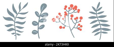 Ensemble de plantes de Noël. Branches colorées avec feuilles. Ensemble de branches. Éléments décoratifs mignons. Illustration vectorielle. Illustration de Vecteur