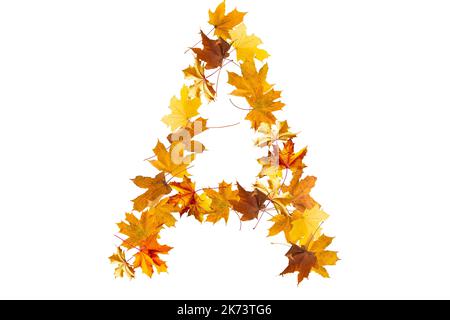 Lettres de l'alphabet faites avec des feuilles d'automne jaunes pour former les capitales sur un fond de pierre. La lettre a Banque D'Images