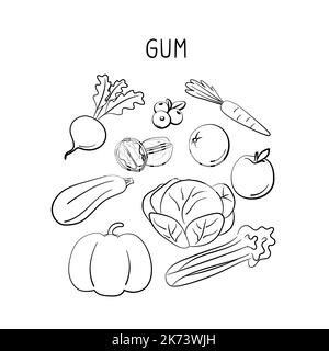 Aliments contenant de la gomme. Groupes de produits sains contenant des vitamines et des minéraux. Ensemble de fruits, légumes, viandes, poissons et produits laitiers Illustration de Vecteur