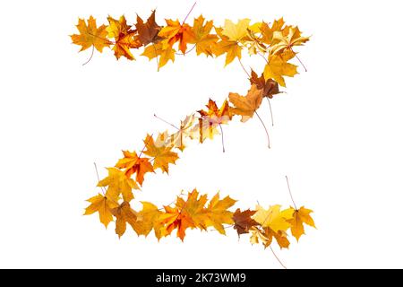 Lettres de l'alphabet faites avec des feuilles d'automne jaunes pour former les capitales sur un fond de pierre. La lettre z Banque D'Images