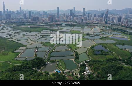 Vue générale du point de contrôle de Lok Ma Chau à la frontière nord-ouest à Hong Kong. Le Plan quinquennal 14th indique un soutien clair au développement de Hong Kong en une plaque tournante internationale de l'innovation et de la technologie (I&T), et inclut la boucle Shenzhen-Hong Kong comme l'une des quatre principales plates-formes de coopération dans la région métropolitaine de Guangdong-Hong Kong-Macao (GBA). Photo de Ma TSO Lung à Lok Ma Chau. 03MAY22. SCMP / TSE de mai Banque D'Images