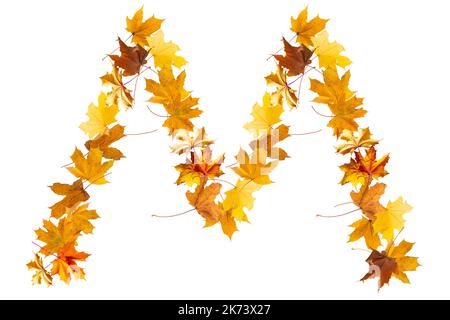 Lettres de l'alphabet faites avec des feuilles d'automne jaunes pour former les capitales sur un fond de pierre. La lettre m Banque D'Images