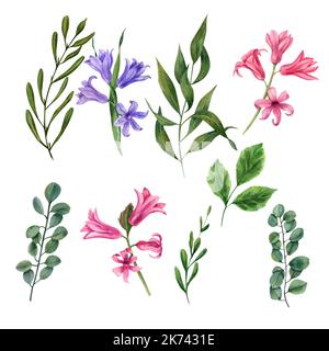 Ensemble de feuilles vert aquarelle et éléments en jacinthe. Collection d'éléments botaniques isolés sur fond blanc. Cartes de Saint-Valentin et de fête des mères Banque D'Images