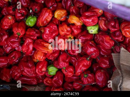 Poivrons en vente sur le marché de la pointe à Pitre, Guadeloupe, Antilles françaises Banque D'Images