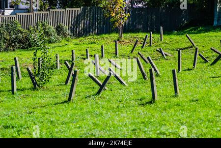 L'ancien cimetière militaire de Tranžament, Petrovaradin. Une vue panoramique de l'ancien identique, négligé béton graveestone croix de l'armée ce Banque D'Images