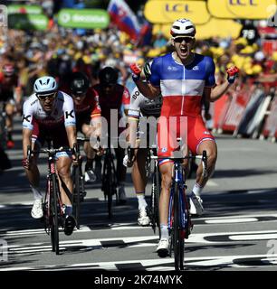 Le français Arnaud DEMARE remporte l'arrivée au sprint de la 4ème étape entre Mondorf-lès-bains et Vittel. PHOTO Alexandre MARCHI. Du samedi 1 juillet au dimanche 23 juillet 2017, le Tour de France 104th est composé de 21 étapes et couvre une distance totale de 3 540 kilomètres. Banque D'Images