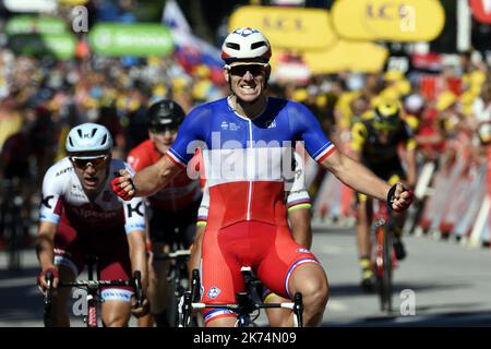 Le français Arnaud DEMARE remporte l'arrivée au sprint de la 4ème étape entre Mondorf-lès-bains et Vittel. PHOTO Alexandre MARCHI. Du samedi 1 juillet au dimanche 23 juillet 2017, le Tour de France 104th est composé de 21 étapes et couvre une distance totale de 3 540 kilomètres. Banque D'Images