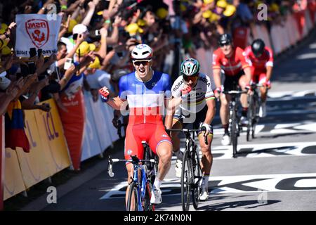 Le français Arnaud DEMARE remporte l'arrivée au sprint de la 4ème étape entre Mondorf-lès-bains et Vittel. PHOTO Alexandre MARCHI. Du samedi 1 juillet au dimanche 23 juillet 2017, le Tour de France 104th est composé de 21 étapes et couvre une distance totale de 3 540 kilomètres. Banque D'Images