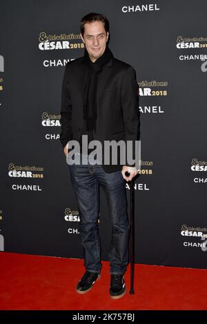 Grand corps Malade alias Fabien Marsaud participant à la fête des révélations de César 2018 au petit Palais sur 15 janvier 2018 à Paris, France Banque D'Images