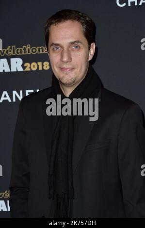 Grand corps Malade alias Fabien Marsaud participant à la fête des révélations de César 2018 au petit Palais sur 15 janvier 2018 à Paris, France Banque D'Images