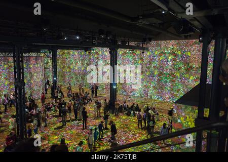 Exposition inaugurale qui rend hommage à l'artiste autrichien Gustav Klimt à l'atelier des Lumières à Paris, France, 30 mai 2018. L'atelier de Lumières a ouvert ses portes au public le 13 avril 2018 et tiendra des expositions immersives monumentales. Grâce à 120 projecteurs vidéo et un système audio spatialisé, l'équipement multimédia unique couvre une surface totale de 3 300 m2, allant du sol au plafond et sur les murs jusqu'à dix mètres de haut. Banque D'Images