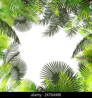 Cadre avec feuilles de palmier. Illustration vectorielle Illustration de Vecteur