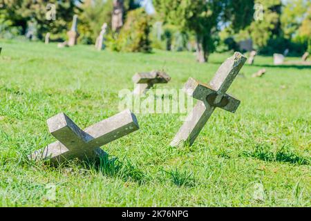 L'ancien cimetière militaire de Tranžament, Petrovaradin. Une vue panoramique de l'ancien identique, négligé béton graveestone croix de l'armée ce Banque D'Images