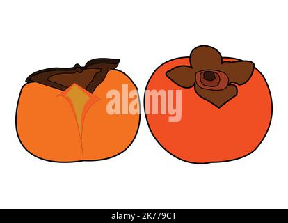 Design d'art vectoriel persimmon coloré.meilleure illustration des ressources graphiques. conception graphique vectorielle pour la conception d'icônes et de symboles et de logos Illustration de Vecteur