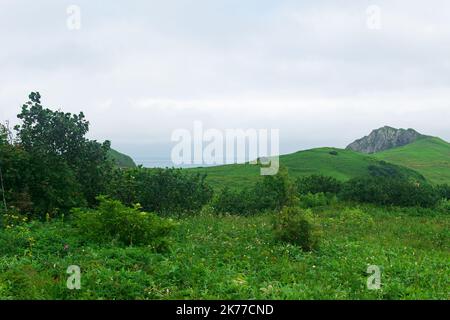 Paysage naturel de l'île de Kunashir avec des collines herbeuses et l'océan en arrière-plan Banque D'Images