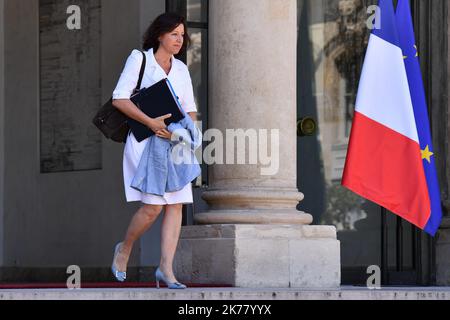 Agnes Buzyn, ministre des Solidarités et de la Santé du Conseil des ministres du 03 juillet 2019 Banque D'Images