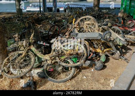 Les employés de l'hôtel de ville de Paris ont mis des bicyclettes, vélomoteurs, scooters et scooters sur les bords de Seine à Paris le 21 juillet 2019 Banque D'Images