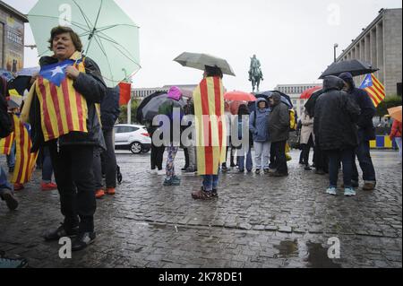 Ce dimanche, une centaine de personnes de la communauté catalane à Bruxelles et leurs partisans, ont organisé une marche en faveur du catalan et ont dénoncé la gestion de cette question par le gouvernement central espagnol. L'arrivée n'était pas loin de la Grand place de Bruxelles. Banque D'Images
