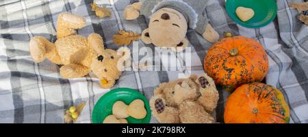 Bannière pique-nique d'automne. Ours en peluche couchés sur une couverture à carreaux. Citrouilles, feuilles d'automne, biscuits en forme de cœur. Banque D'Images