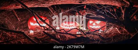 Panorama des têtes de citrouille d'Halloween, entouré de bougies allumées et de branches sèches, dans une forêt nocturne effrayante. Jack-o'-latern. Un holi effrayant pour Halloween Banque D'Images