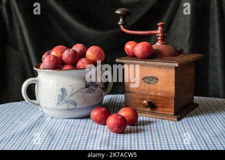 La vie des prunes sauvages dans un joli bol en céramique à fleurs bleues et un moulin à café ancien qui était un cadeau de France sur un chiffon bleu payé. Banque D'Images