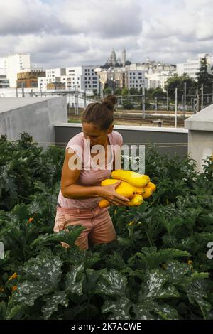 ©PHOTOPQR/LE PARISIEN/Olivier Corsan ; Paris ; 28/07/2020 ; Paris, France, le 28 juillet 2020. CULTIVER est une nouvelle entreprise qui a créé sur les toits du quartier de la Chapelle internationale la plus grande ferme urbaine d'Europe qui a été ses premiers éléments dans le cadre d'une agriculture urbaine. CULTIVER est une nouvelle entreprise qui a créé la plus grande ferme urbaine d'Europe sur les toits du quartier de la Chapelle internationale. Banque D'Images