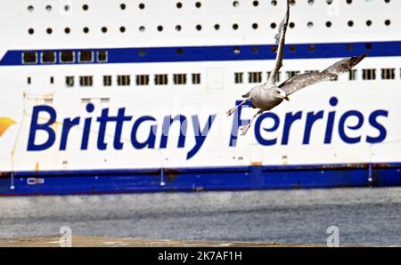 ©PHOTOPQR/LE TÉLÉGRAMME/NICOLAS CREACH ; ; ; 31/07/2020 ; PHOTO NICOLAS CREACH / LE TÉLÉGRAMME. Roscoff ( 29 ) Britany Ferries LE 14082020 les derniers parties des bateaux de la Britany Ferries vers l'Angleterre avant la mise en place d'une quatordaine pour toutes les personnes entrant sur le territoire britannique qui commencent à partir de la partie du Samedi 15 Aout à 6 H du matin. Départ de Britany Ferries en Angleterre les personnes entrant en territoire britannique à partir de samedi 15 août à 6 heures seront dans la quinzaine. Roscoff sur 14 août 2020 Banque D'Images