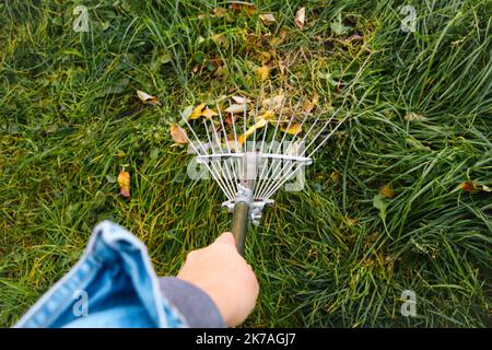 Flou artistique main tenant le râteau. Râteler avec les feuilles mortes à l'automne. Jardinage pendant la saison d'automne. Nettoyage de la pelouse des feuilles râtelant les feuilles tombées dans le Banque D'Images