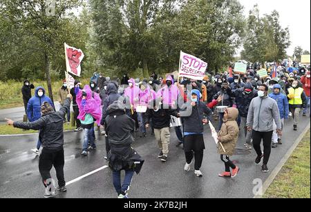Que Faire Ce Dimanche Dans Le Nord Pas De Calais