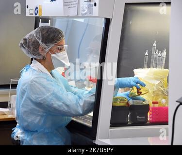 ©PHOTOPQR/l'est REPUBLICAIN/Cedric JACQUOT ; Nancy ; 02/10/2020 ; LABORATOIRE - CHERCHEUE - SCIENTIFIQUE - ANALYSE Frédérique VIDAL, ministre de l'enseignement supérieur, de la recherche et de l'innovation visite le Laboratoire de santé aux matériaux et de santé sur le site de la chimie et de la chimie. Le LCPME présente la détection du virus SARS-COV-2 dans les eaux usées. Nancy, le 2 octobre 2020. Photo ER/ Cédric Jaccot - Nancy, France, octobre 2nd 2020 - visite du Ministre de l'enseignement supérieur, de la recherche et de l'innovation au Laboratoire de physique CH Banque D'Images