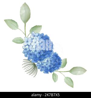 Bleu délicat fleurs et feuilles d'hortensia, aquarelle peinture.Nice design pour carte de voeux  invitation de mariage ou plus de buts. Banque D'Images