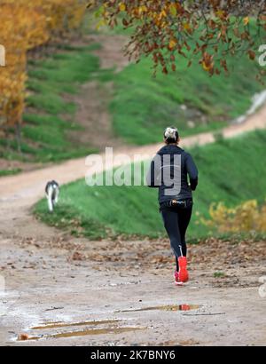 ©PHOTOPQR/l'ALSACE/Thierry GACHON ; Turckheim ; 01/11/2020 ; Lors du confinement, une femme courre avec son chien lors d'un placement bref, dans l'application du jour n°2020-1310 du Covid 19 de l'urgence sanitaire et dans la limite d'une heure quotidienne et dans un rayon d'un kilomètre autre du domicile à Turckheim, le 1er novembre 2020. - Pendant la reconfiguration, les gens font un court voyage dans une heure par jour et dans un rayon d'un kilomètre de leur maison à Turckheim sur 1 novembre 2020. Banque D'Images