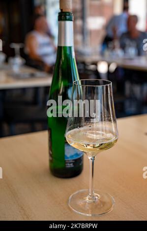 Boisson de txakoli ou de chacolí vin blanc légèrement mousseux très sec produit dans le pays basque espagnol, servi dans le restaurant de Getaria Fisherman's Banque D'Images