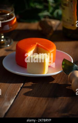 Dégustation de cheddar bio de fermiers en cire d'orange en plein air Banque D'Images