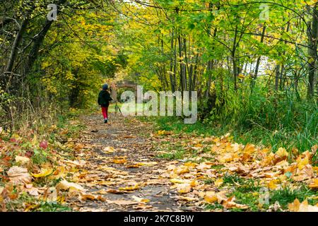 Garçon marchant dans le parc pendant la saison d'automne. Banque D'Images