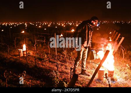 ©PHOTOPQR/OUEST FRANCE/Franck Dubray ; le landreau ; 08/04/2021 ; le gel a encore fritté dans les vignes du vignoble du muscadet pour la deuxième nuit nue conscitive Certains viticulteurs ont utilisé des bougies et des braseros pour le chauffeur de Dubray et de dubrain Banque D'Images