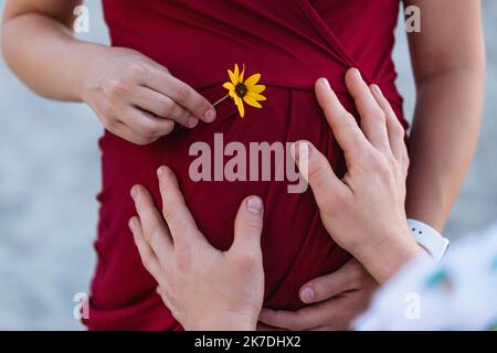 Mains de l'homme tenant le ventre de la femme enceinte en robe rouge Banque D'Images