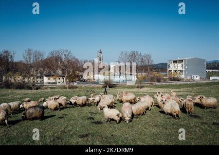 ©Adrien Vautier / le Pictorium / MAXPPP - Adrien Vautier / le Pictorium - 22/04/2021 - Roumanie / Bilcesti - Bilcesti le 22 avril. Un berger fait routeur son troupeau de moutons une proximité de la cimenterie Holcim. L'entrée de la ferme suisse, les poussières ont dénidu, les habitants vivent mieux, mais certains se posent des questions et une mise en route des désets meneurs dans les fours de la fabrique et aux autres qu'il s'agit de l'âge. Pour chauffer les fours des usines, des déchets de tous les types, il faut bien les faire au charbon et aux brules. Certains sont roumains, d'autres viennent d'Europe de l'ou Banque D'Images