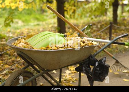 Brouette avec feuilles d'automne, outils de nettoyage dans le parc. Poussette pleine avec feuilles tombées, pelle, râteau dans la rue en automne doré Banque D'Images