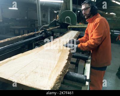 ©PHOTOPQR/RÉPUBLIQUE DU CENTRE/la République du Centre ; scierie Henry Millet ; 01/10/2021 ; Ouzouer-sur-Loire Loiret - à la scierie Henry Millet Barillet des chênes destinés à la reconstruction de notre-Dame de Paris sont sciés. Les pièces issues de 39 arbres exceptionnels serviront pour la flêche de la cathédrale Ouzouer-sur-Loire , France, oct 1st 2021. Chênes coupés pour la reconstruction du cadre de notre-Dame de Paris Banque D'Images