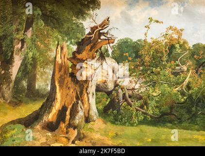 ©Active Museu/MAXPPP - ActiveMuseum 0000787.jpg / Arbre brise, au Kerket, pres de Meyringen, vers 1838 - Alexandre Calame 1838 - / Alexandre Calame / Musée actif de la peinture / le Pictorium cassé, mort, forêt, verdure, horizontal, paysage, nature, bois d'arbre, Europe, Meiringen, Suisse, Europe occidentale, Alexandre, peinture, 19th siècle, Alexandre, Calame, peinture Banque D'Images