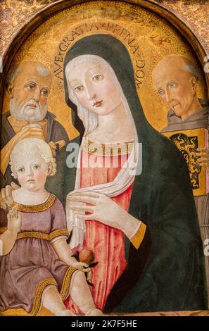 ©Active Museu/MAXPPP - ActiveMuseum 0000965.jpg / la Vierge et l'enfant avec Saint Jérôme et Saint Bernard de Sienne, 1480 - Benvenuto di Giovanni - Madonna et enfant avec Saint Jérôme et Saint Bernardino de Sienne 1480 - / Benvenuto di Giovanni / la Vierge et l'enfant avec Saint Jérôme et Saint Bernard de Sienne, 1480 - Benve Active Museum / le Pictorium Aureola (religion) ,bébé ,Bernard de Clairvaux ,Bénédiction ,Livre ,religion catholique ,enfant ,Fleur ,vieil homme ,Renaissance ,Saint ,vertical ,Vierge et enfant ,femme ,Saint Jérôme ,XVème siècle ,Benvenuto di Giovanni ,? La Vierge et l'enfant avec Banque D'Images