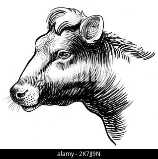 Tête de vache. Dessin noir et blanc Banque D'Images