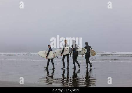 Groupe de surfeurs transportant leurs planches de surf au lever du soleil brumeux. Surfeurs en combinaison à la plage de Tofino Canada. Photo de voyage, mise au point sélective, Copyspa Banque D'Images