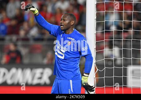 ©PHOTOPQR/Ouest FRANCE/Philippe RENAULT ; Rennes ; 31/08/2022 ; Rennes - Brest . ( Stade Rennais FC contre Stade Brestois 29 ). Championnat de France de football, Ligue 1, journée 5. Steve MANDANDA photo Philippe RENAULT / Ouest-France Banque D'Images